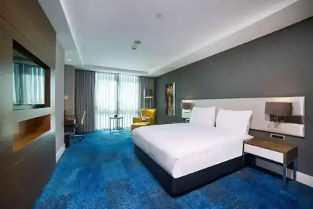 Radisson Blu, Kayseri - 60