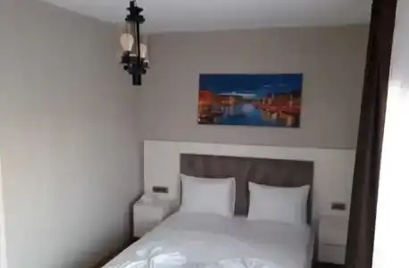 Leader Mansion & Suite - 18