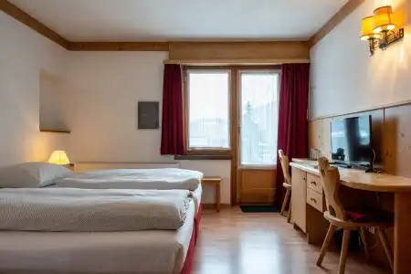 Bären - 45