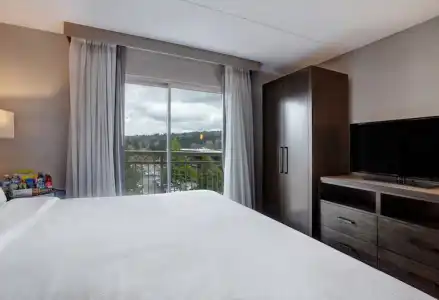 Embassy Suites by Hilton Seattle Bellevue - 30