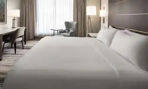 Signia by Hilton Orlando - An Official Walt Disney World - 16