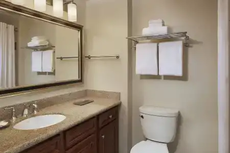 Hilton Grand Vacations Club SeaWorld® - 77