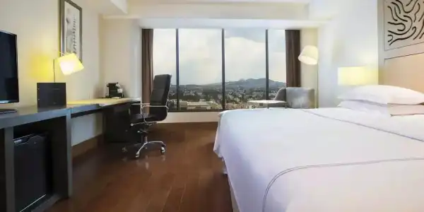 Barcelo Guadalajara - 77