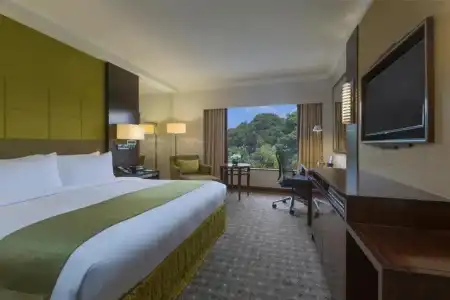 Holiday Inn Singapore Orchard City Centre by IHG - 5