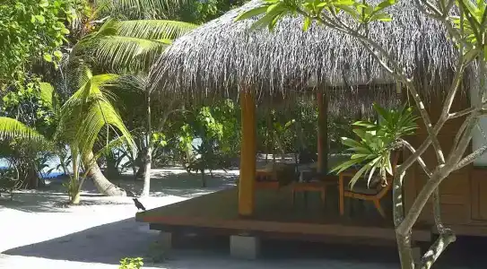 Medhufushi Island Resort - 53