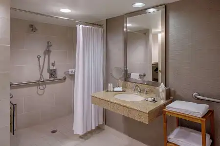 DoubleTree by Hilton Houston - Greenway Plaza - 44