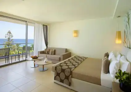 The Ixian Grand & All Suites - 41
