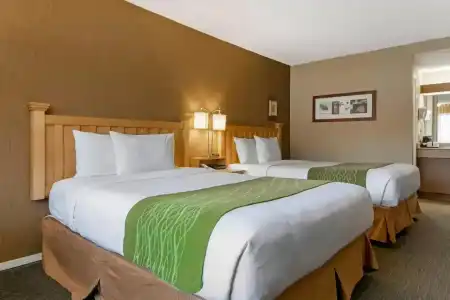 Econo Lodge Inn & Suites - 33