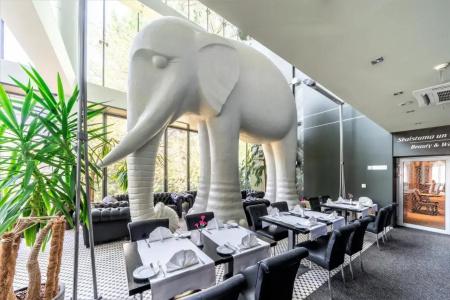 Rixwell Elefant - 18