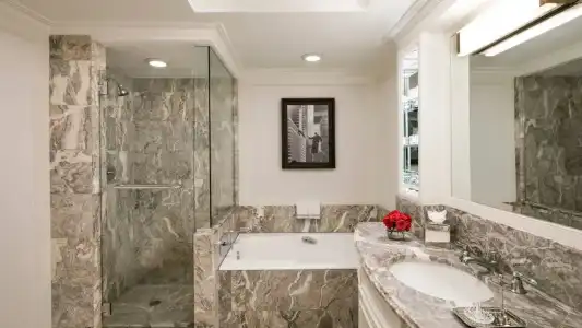The Ritz-Carlton New York, Central Park - 69