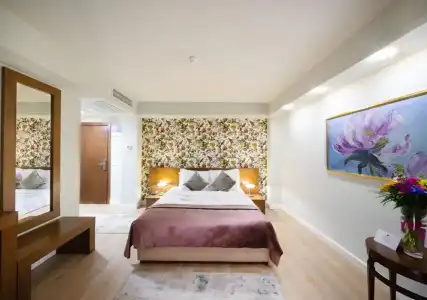 Phoenicia Comfort - 28