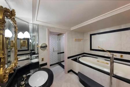 RIHGA Royal Osaka, Vignette Collection by IHG - 18