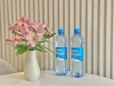 Travelto Petrovskiy Park - 92