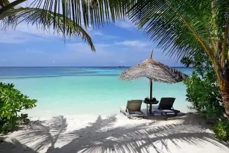 Gangehi Island Resort - 22