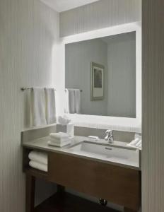 Hilton Garden Inn Long Island City New York - 70