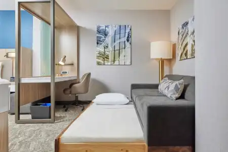 SpringHill Suites by Marriott Chicago Chinatown - 42