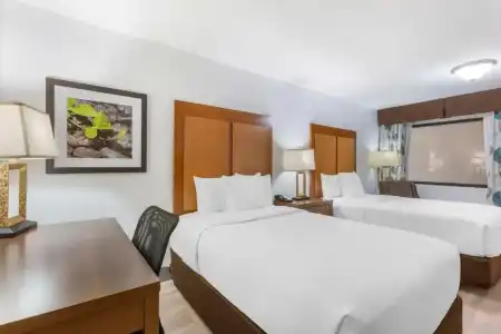 Best Western Plus El Paso Airport & Conference Center - 6