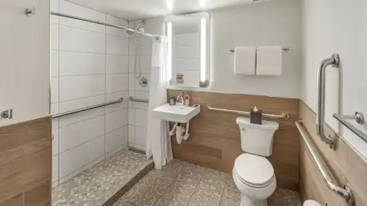 The Wildbirch - JDV by Hyatt - 22