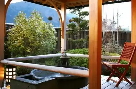 Japanese Ryokan Seryo - 27