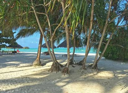 Pongwe Bay Resort - 25