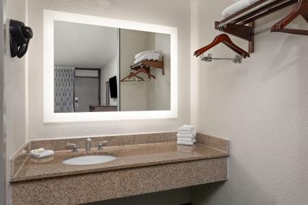 Days Inn by Wyndham Orlando Conv. Center/International Dr - 19