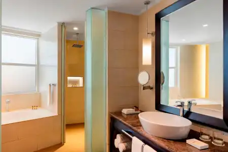 Sheraton Sharjah Beach Resort & Spa - 66