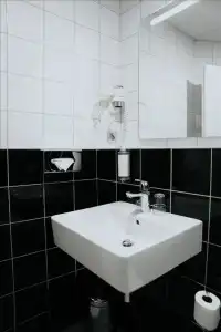Hôtel Albert 1er - 60