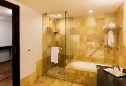 Hilton Mexico City Reforma - 68