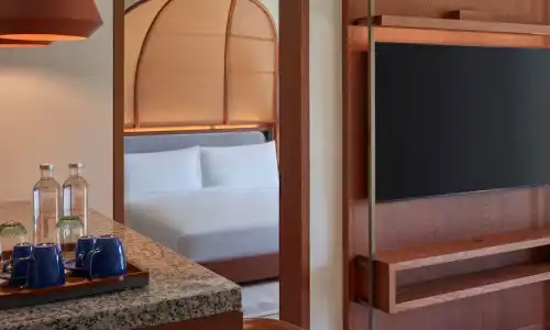 Canopy by Hilton Seychelles Resort - 73