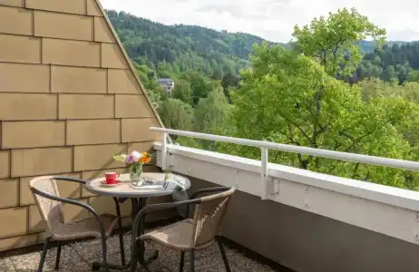 Leonardo Royal Baden-Baden - 65