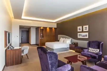 Radisson Blu, Dubai Waterfront - 57