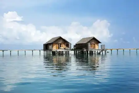 Gangehi Island Resort - 21