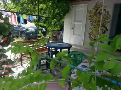 Olgino - 7