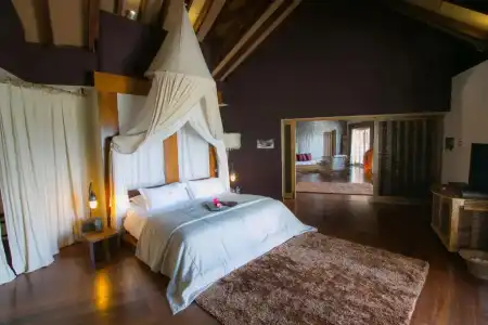 Le Domaine de L Orangeraie Resort et Spa - 50