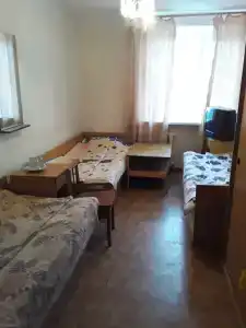 Gostinitsa Birsk - 102