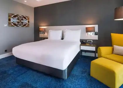Radisson Blu, Kayseri - 76