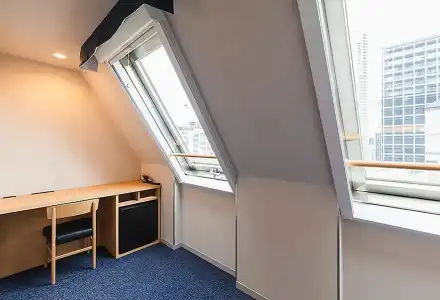 Sotetsu Fresa Inn Tokyo-Akasaka - 43