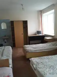 Gostinitsa Birsk - 105