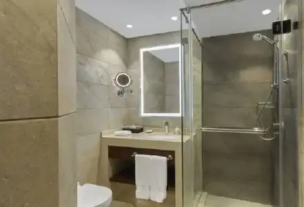 Ramses Hilton - 70