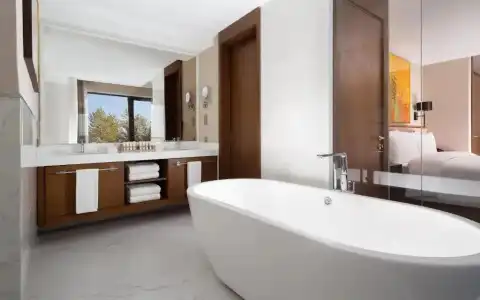 Swissôtel Wellness Resort Alatau - 77