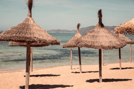Cook’s Club Palma Beach +16 - 16