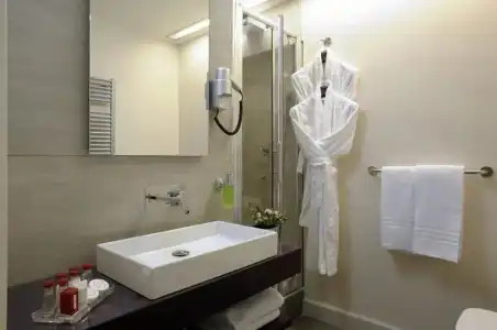 Trevi Palace Luxury Inn - 28
