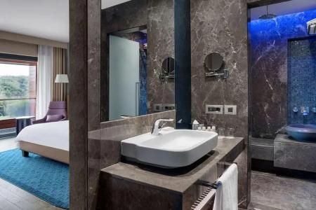Radisson Blu Spa Istanbul Tuzla - 29