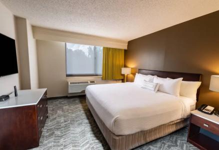 SpringHill Suites Houston Medical Center/NRG Park - 38