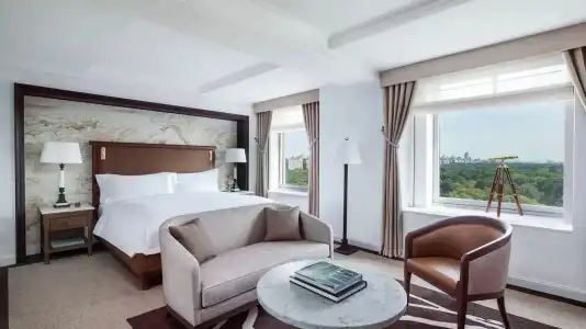 The Ritz-Carlton New York, Central Park - 89