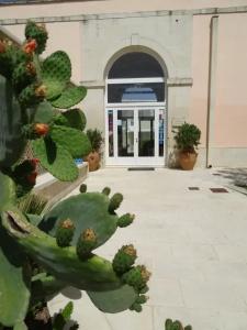 Masseria Bandino & Spa - 13