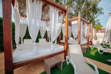 Alannia Guardamar Resort - 34