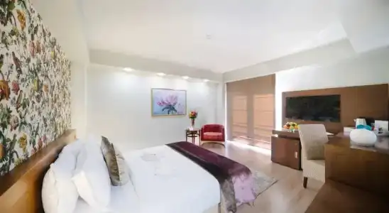 Phoenicia Comfort - 40