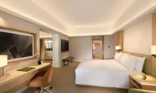 Conrad Singapore Orchard - 48