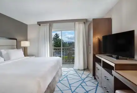 Embassy Suites by Hilton Seattle Bellevue - 27
